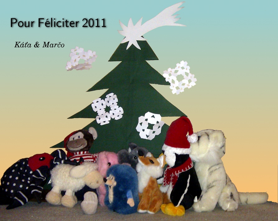 PF 2011